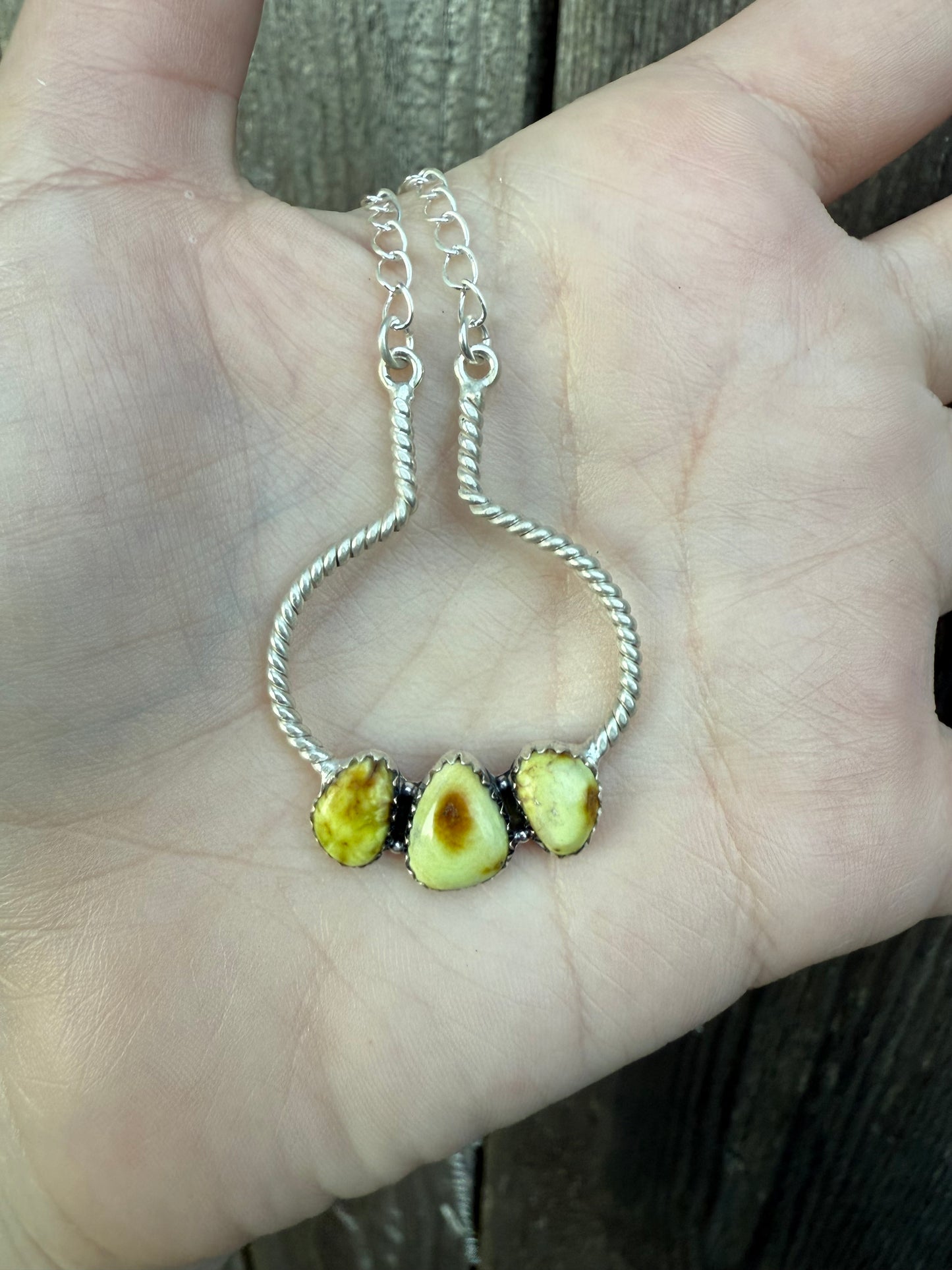 Palomino Rope Loop Sterling Silver Necklace